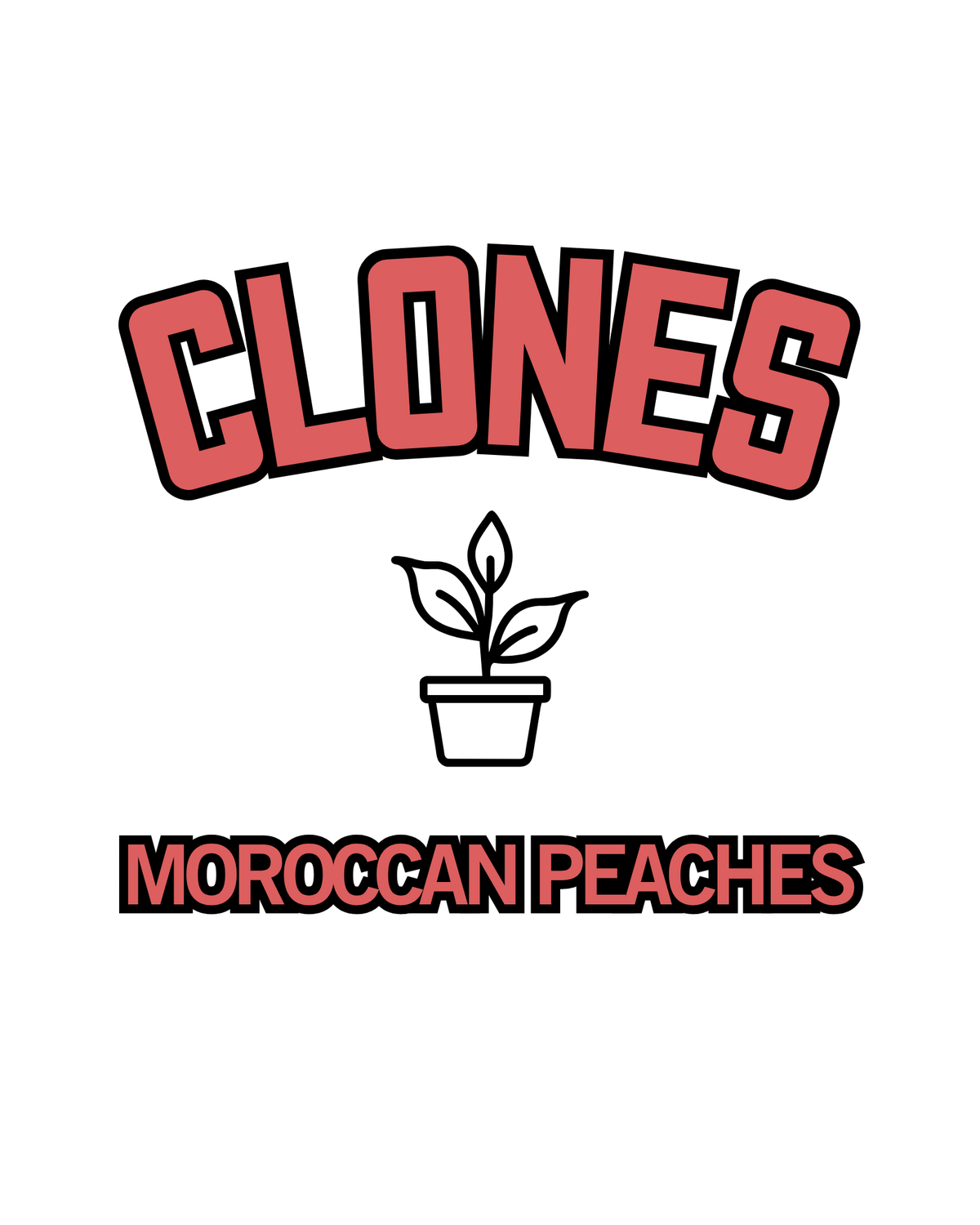 Moroccan Peaches Snips
