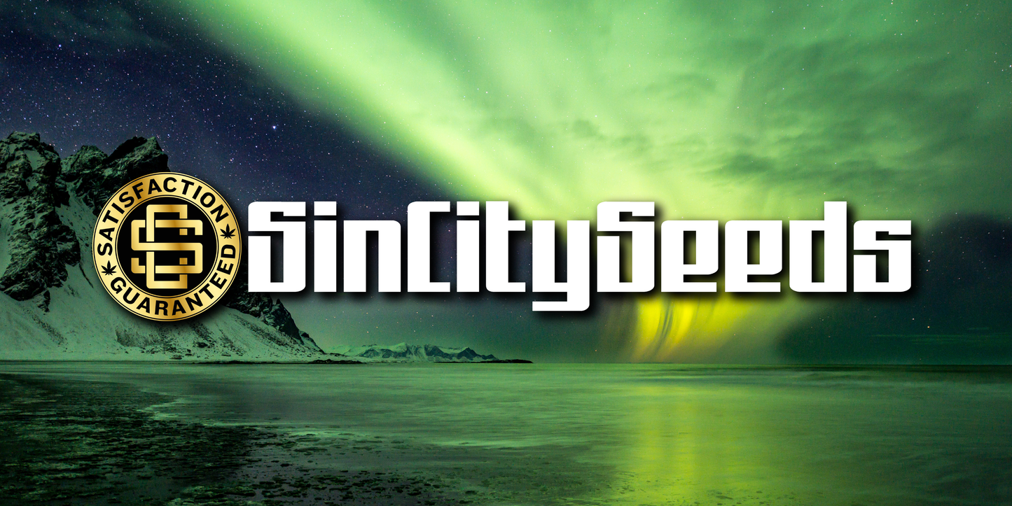 Sin City Grow Room Banner