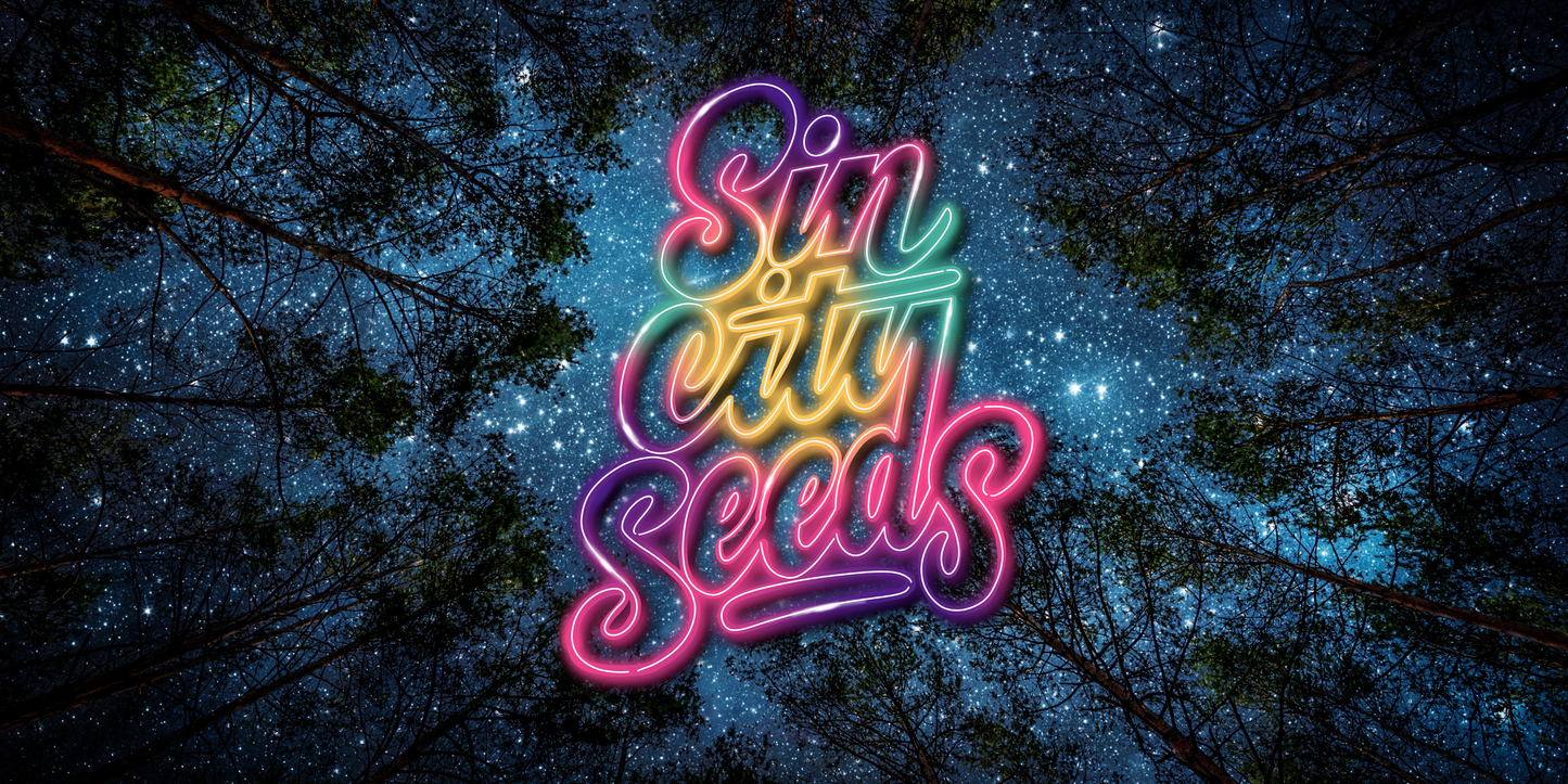 Sin City Grow Room Banner
