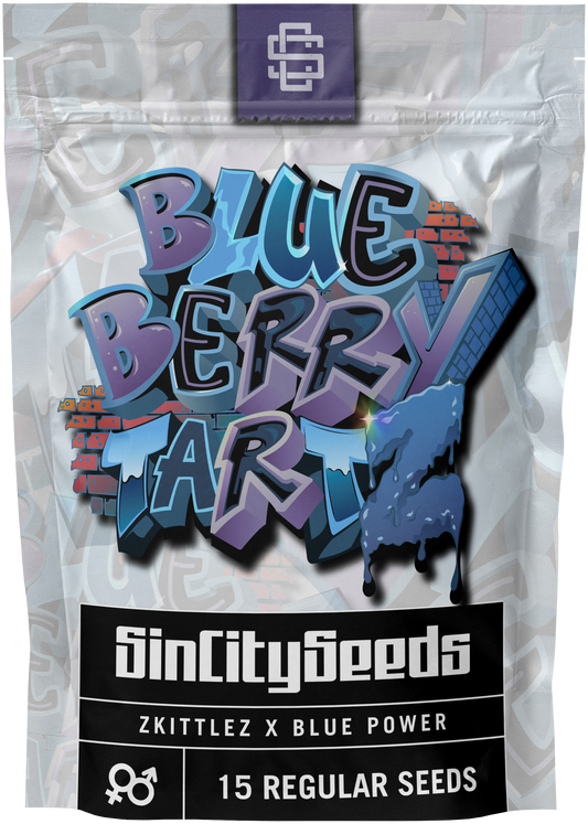 Blue Tartz Regular Seeds โ sincityseeds.shop