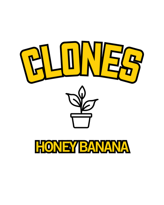 Honey Banana Snips