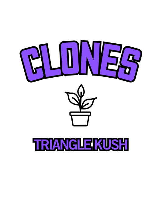 Triangle Kush Snips