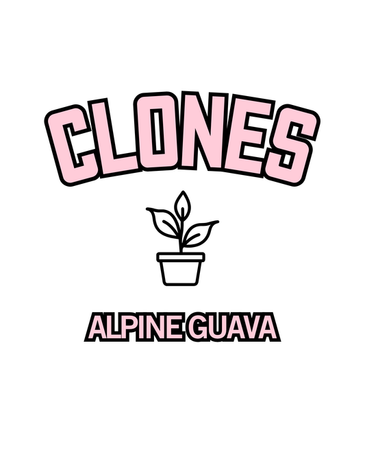 Alpine Guava Snips