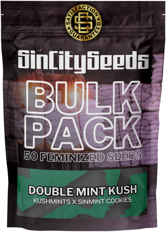 Double Mint Kush Bulk Pack