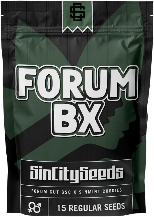 Forum BX