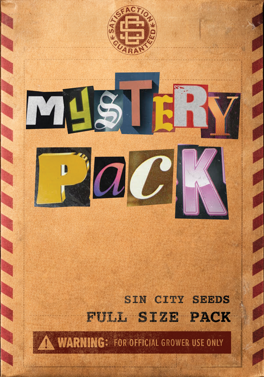 Full Size Mystery Pack