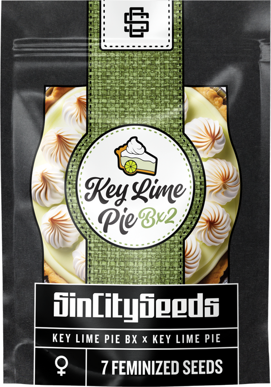 Key Lime Pie BX2