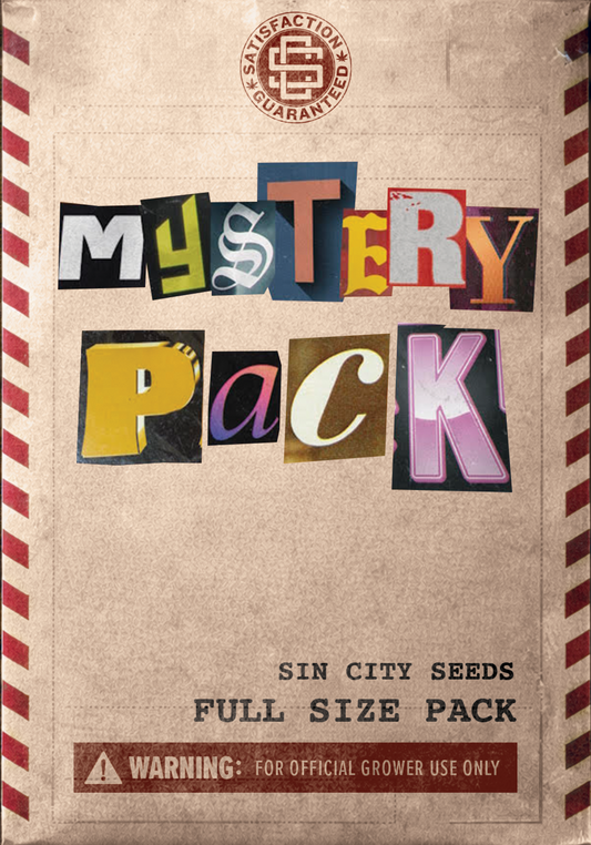 Full Size Mystery Pack
