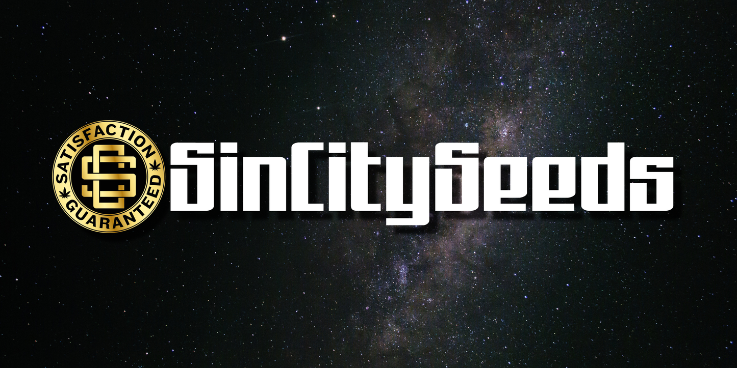 Sin City Grow Room Banner