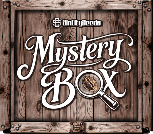 Mystery Box