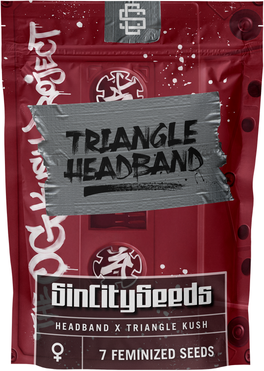 Triangle Headband